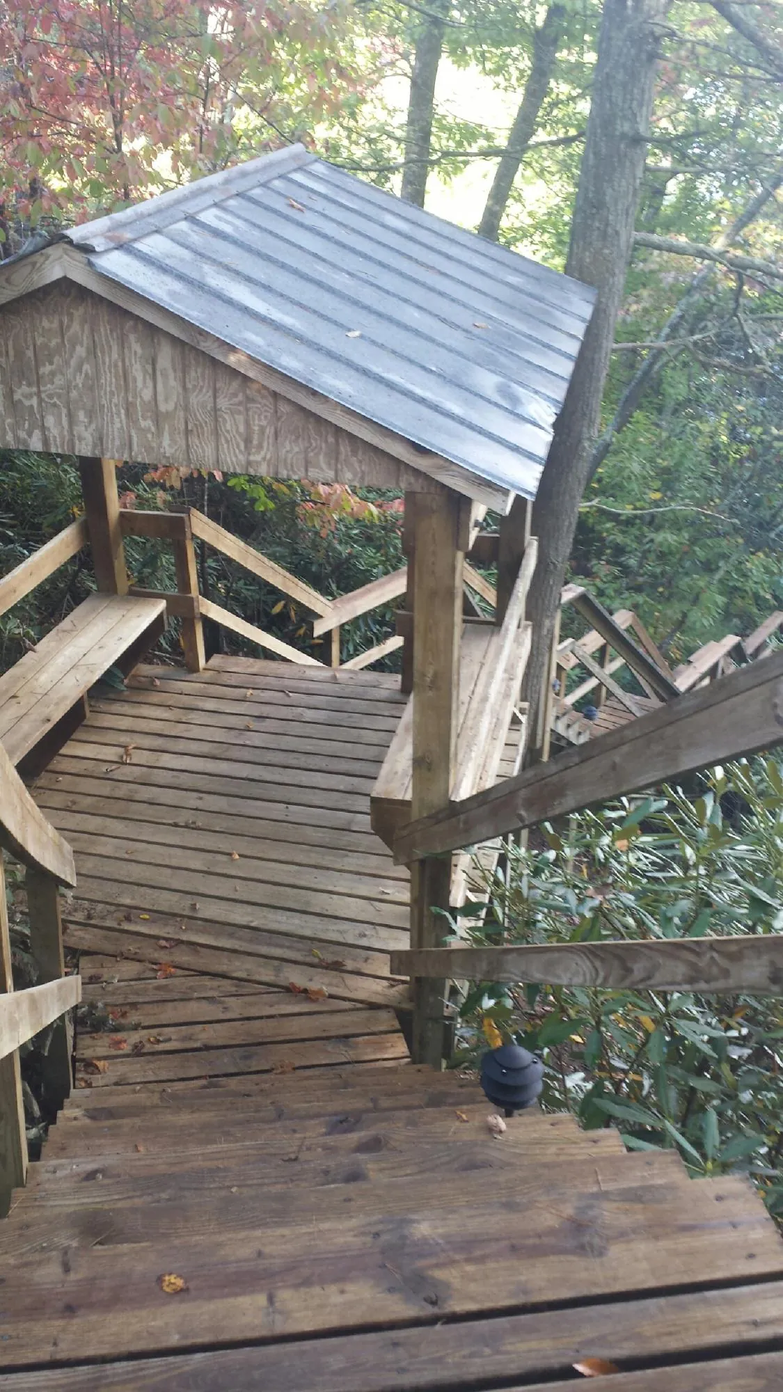 Metal roofed shelter over wooden steps on a wooded walkway — Skylight Repair & Installation work by our crew in Gruetli Laager