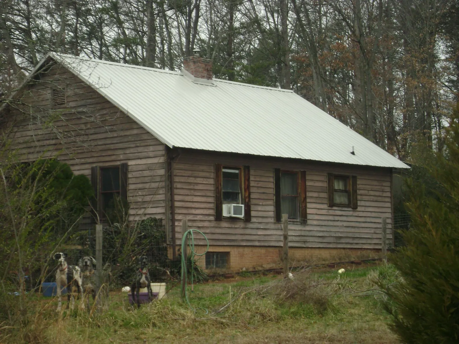 White metal roof on an old wood sided farmhouse, from a Asphalt Shingle Roof Repair job in Gruetli Laager